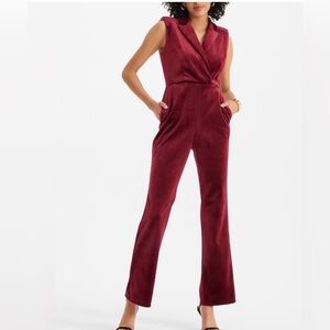 Express Velvet Jumpsuit in Deep Red/ Burgundy